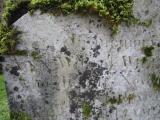 image of grave number 631850